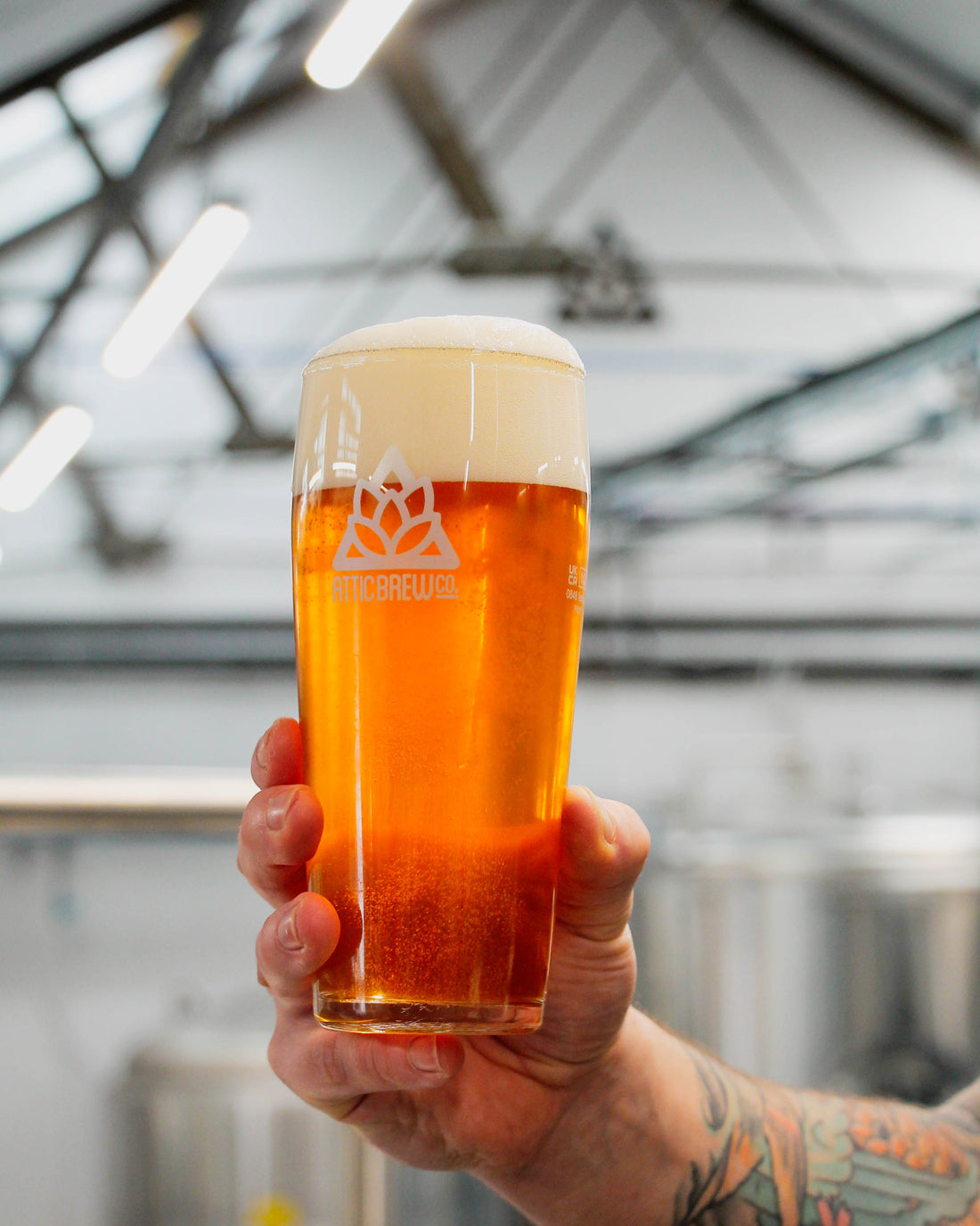 🕵️♂️PILSNER UP CLOSE🕵️♂️