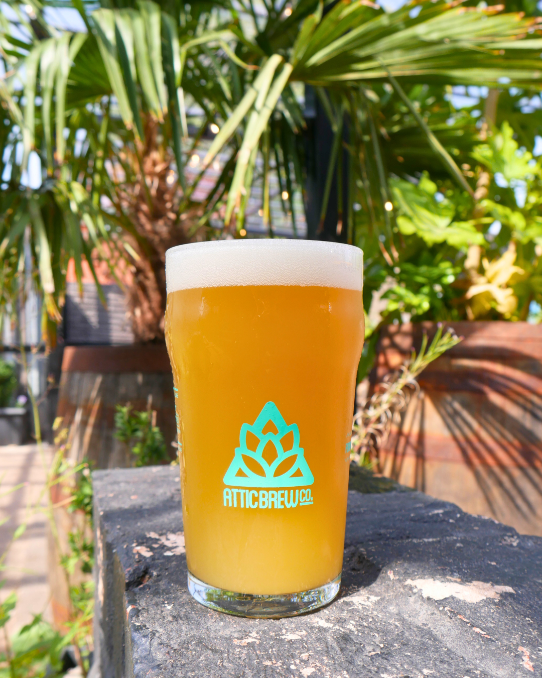 Drift | Apricot & Peach Sour | 5.6% | 440ml | Attic x Copper Beech Collab