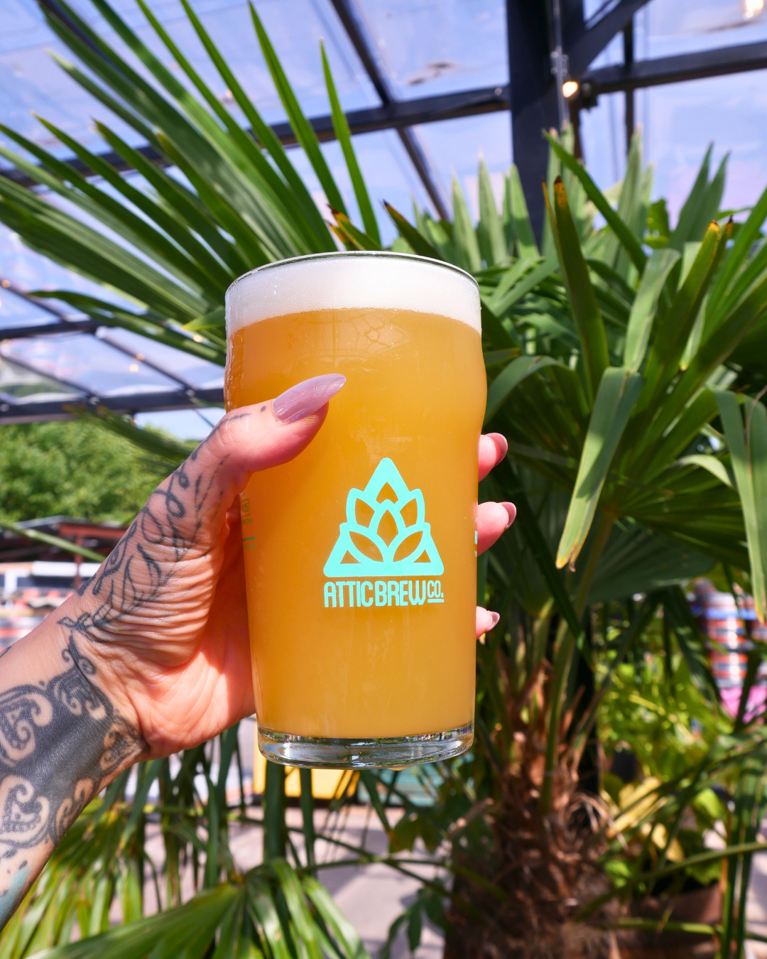 Drift | Apricot & Peach Sour | 5.6% | 440ml | Attic x Copper Beech Collab