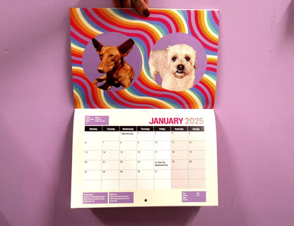 Attic Brew Co. Charity Dog Calendar 2025 (25% of each sale goes to Birmingham Dog's Home)